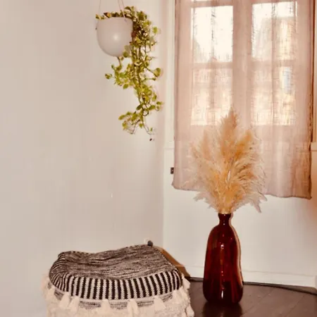 Le Charme D'Arnaud Hypercentre Wifi Accueil Gratuit H24 Apartment Toulouse Exterior photo